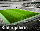 Mehr als nur Fu&szlig;ballpl&auml;tze / &copy;Bild: AP/Diether Endlicher