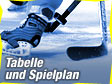 Eishockey in Österreich / ©Bild: GEPA / ORF.at