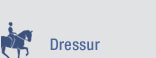 Piktogramm Dressur