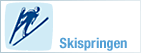 Skispringen