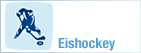 Eishockey