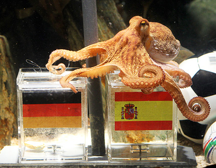 ©Bild: APA/EPA/Roland Weihrauch